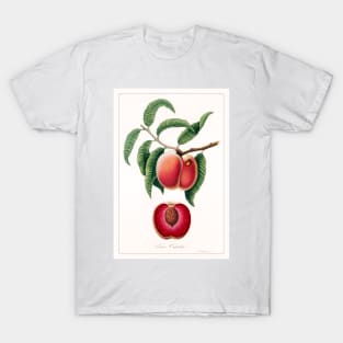 Carrot Peach T-Shirt